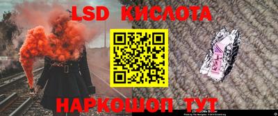 шишки Лесосибирск