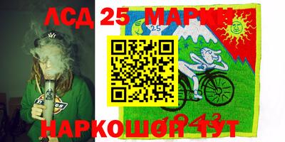 шишки Лесосибирск