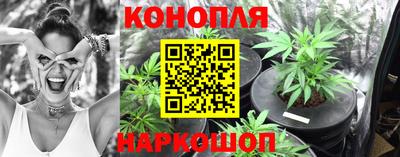 шишки Ликино-Дулёво