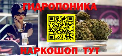 шишки Лесосибирск
