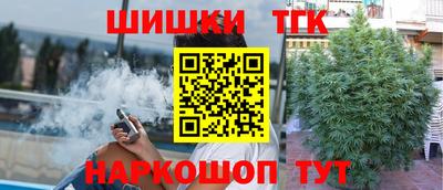 шишки Лесосибирск