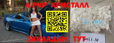 шишки Лесосибирск