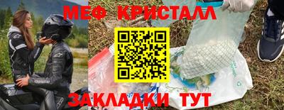 шишки Лесосибирск