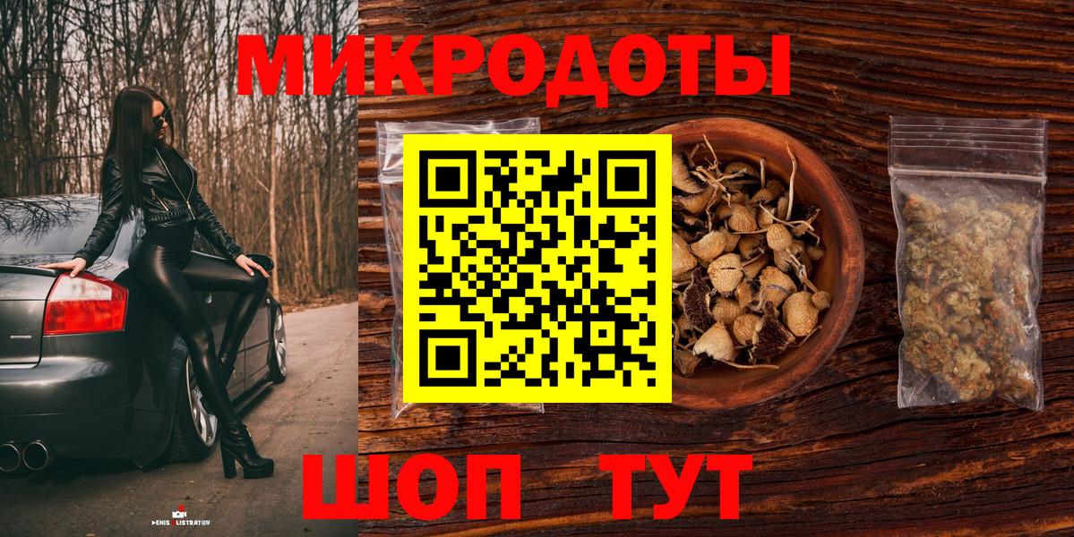 Псилоцибиновые грибы Psilocybe Знаменск