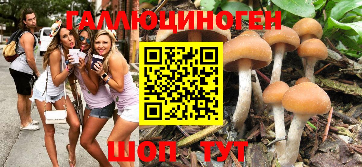 Галлюциногенные грибы MAGIC MUSHROOMS  Вход с VPN  где найти   Знаменск 